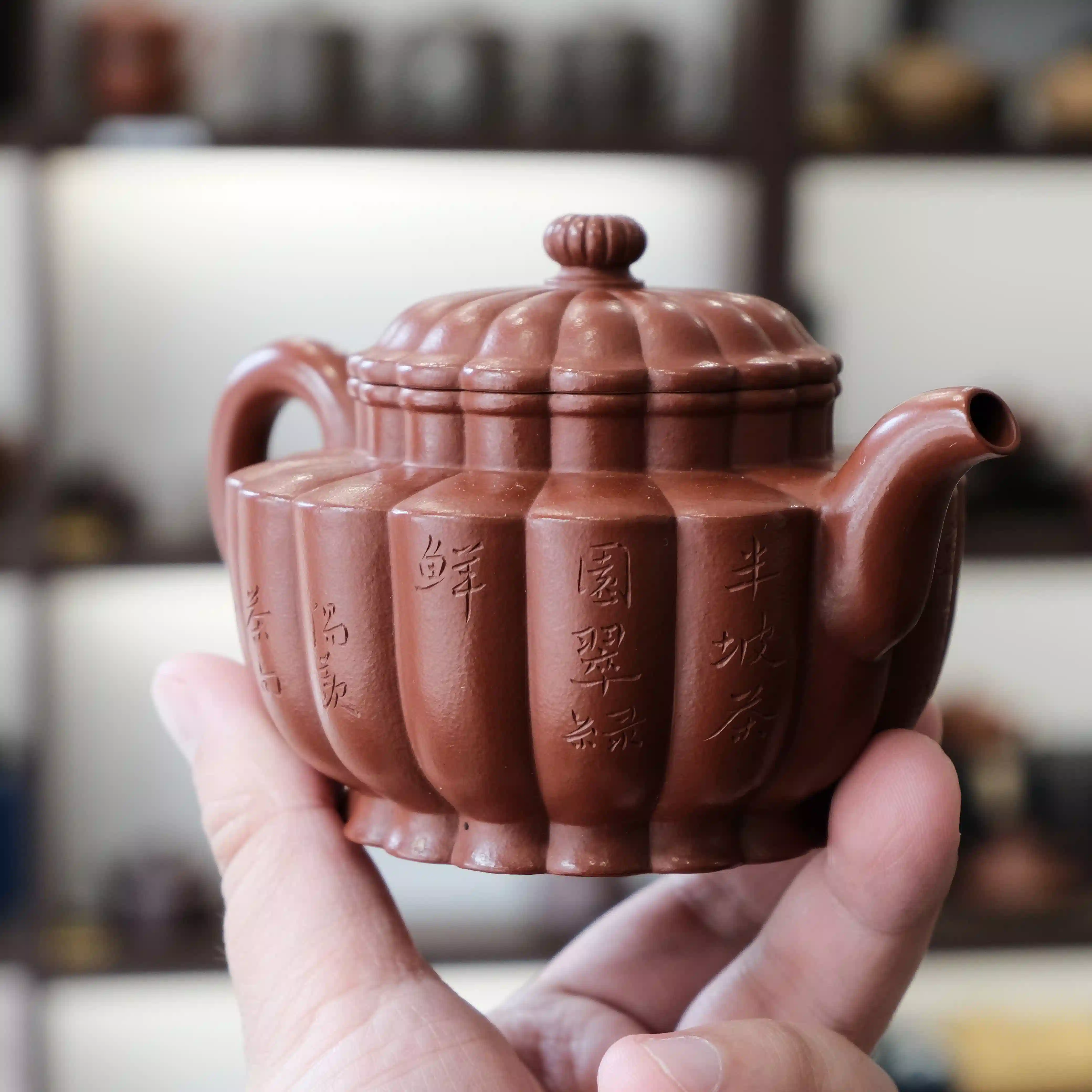 筋纹 朱泥 大品